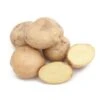 Yellow Finn Potato (Organic) -JulboCorona Trees Store yellow finn organic potato lb